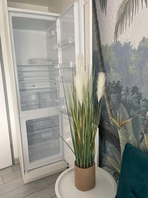 Appart Frontignan Sur La Plage, Piscine, Wifi, Tv, Netflix ภายนอก รูปภาพ