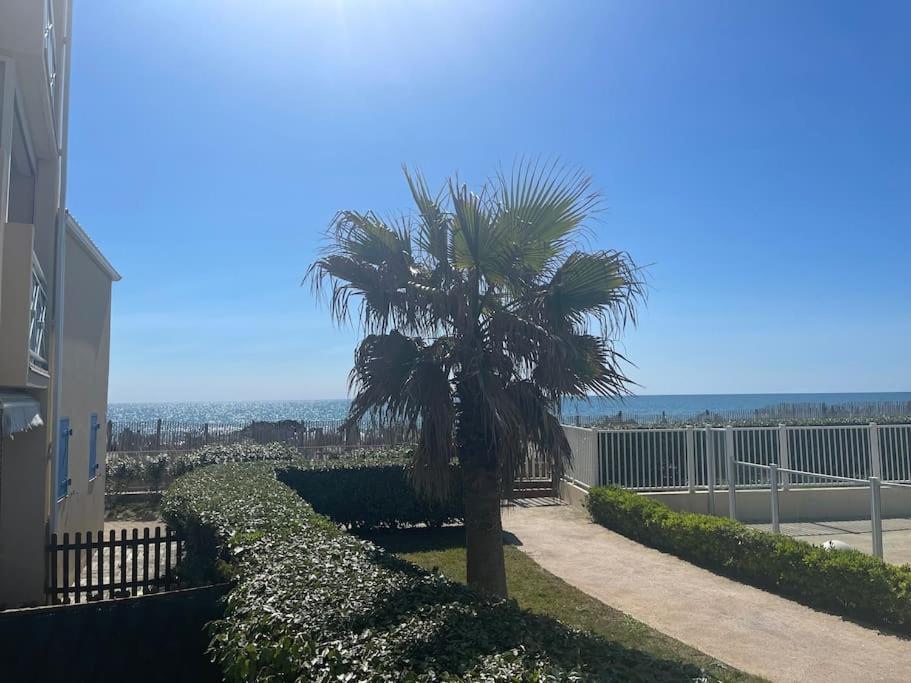 Appart Frontignan Sur La Plage, Piscine, Wifi, Tv, Netflix ภายนอก รูปภาพ